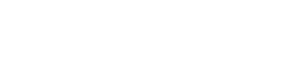 Diskover Logo White